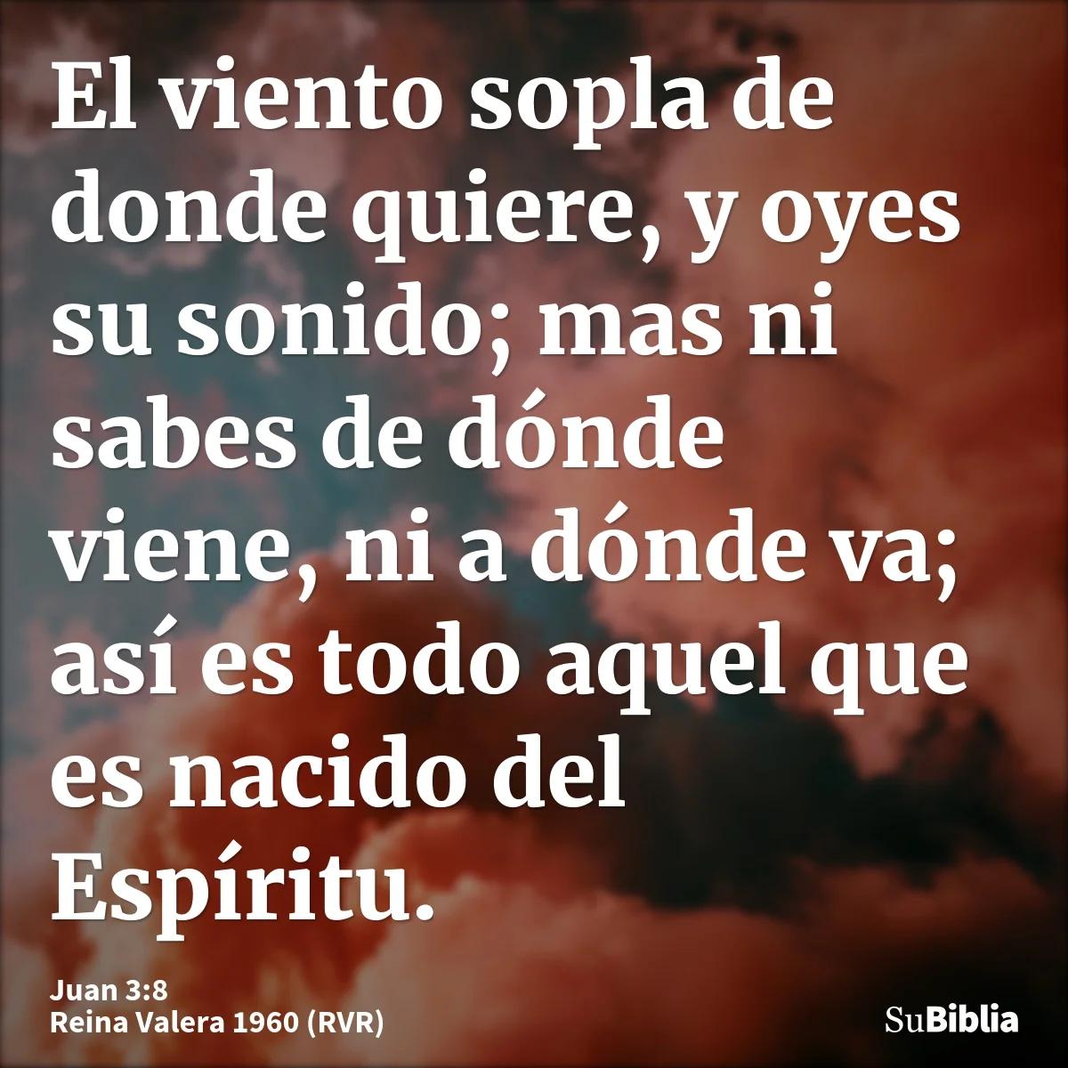La Vida Se Va Como el Viento: Una Reflexión Bíblica sobre la Brevedad de la Existencia - Qué dice San Juan 3 8 la vida se va como el viento biblia - Qué dice San Juan 3 8
