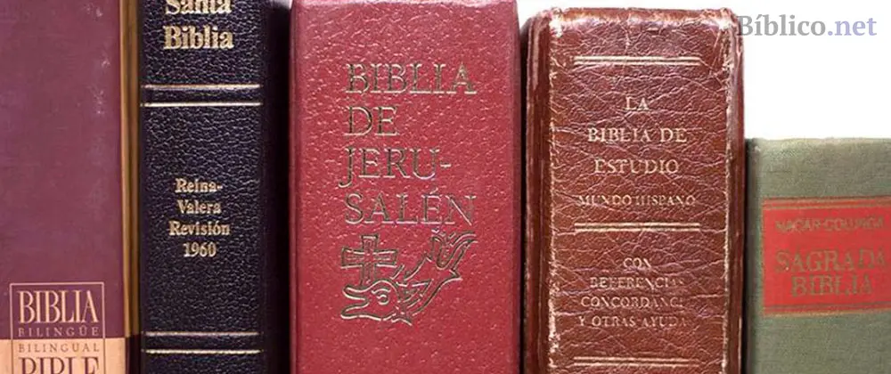 ¿Por qué hay tantas traducciones de la Biblia? - Qué diferencia hay entre traducciones y versiones de la Biblia porque hay tantas traducciones de la biblia - Qué diferencia hay entre traducciones y versiones de la Biblia