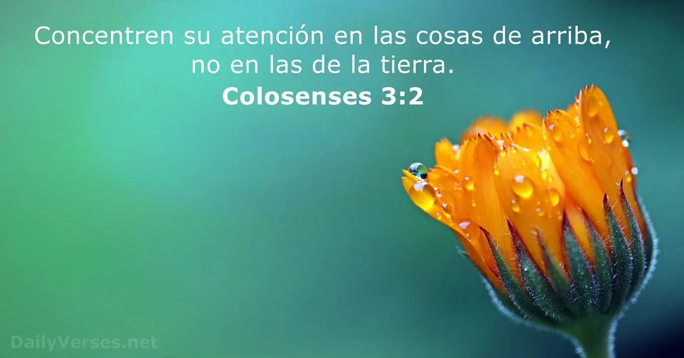 Textos de la Biblia que Hablan de la Mente: Un Viaje a la Sabiduría Interior - Qué dijo Jesús de la mente textos de la biblia que hablen de la mente - Qué dijo Jesús de la mente