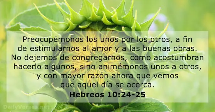 La Unidad en la Biblia: Un Camino hacia la Plenitud - Qué dijo Jesús de la unidad unidad en la biblia - Qué dijo Jesús de la unidad