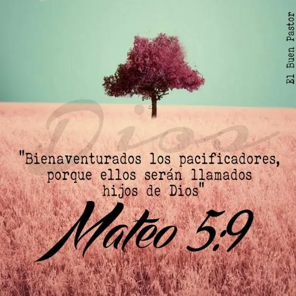 Frases de la Biblia Mateo: Un Mensaje de Esperanza y Amor - Qué dijo Mateo en la Biblia frases de la biblia mateo - Qué dijo Mateo en la Biblia