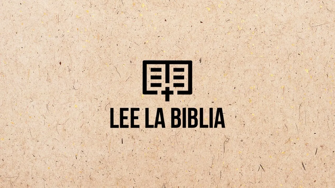 BibleProject en Español: Una Experiencia Bíblica Inmersiva - Qué es BibleProject la biblia project - Qué es BibleProject