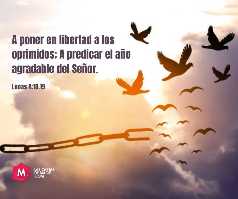 El Año Agradable del Señor: Un Tiempo de Gracia y Redención - Qué es el año del favor del Señor año agradable del señor biblia - Qué es el año del favor del Señor