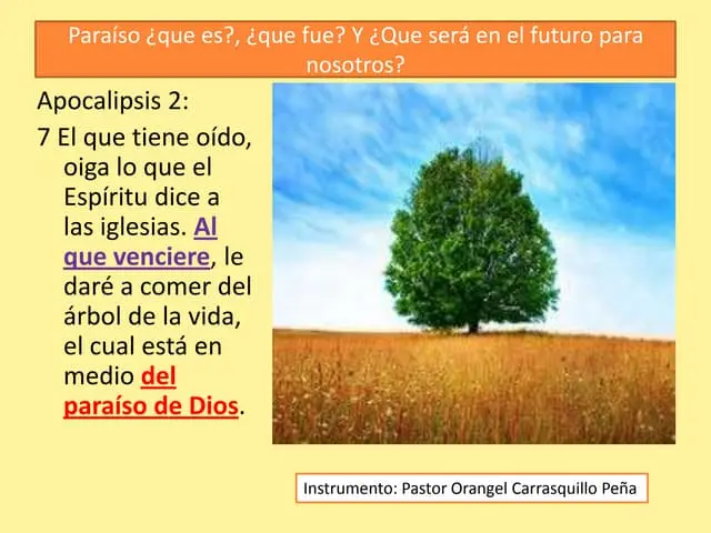 ¿Dónde se Encuentra el Paraíso Según la Biblia? - Qué es el paraíso según la Biblia donde se encuentra el paraiso segun la biblia - Qué es el paraíso según la Biblia