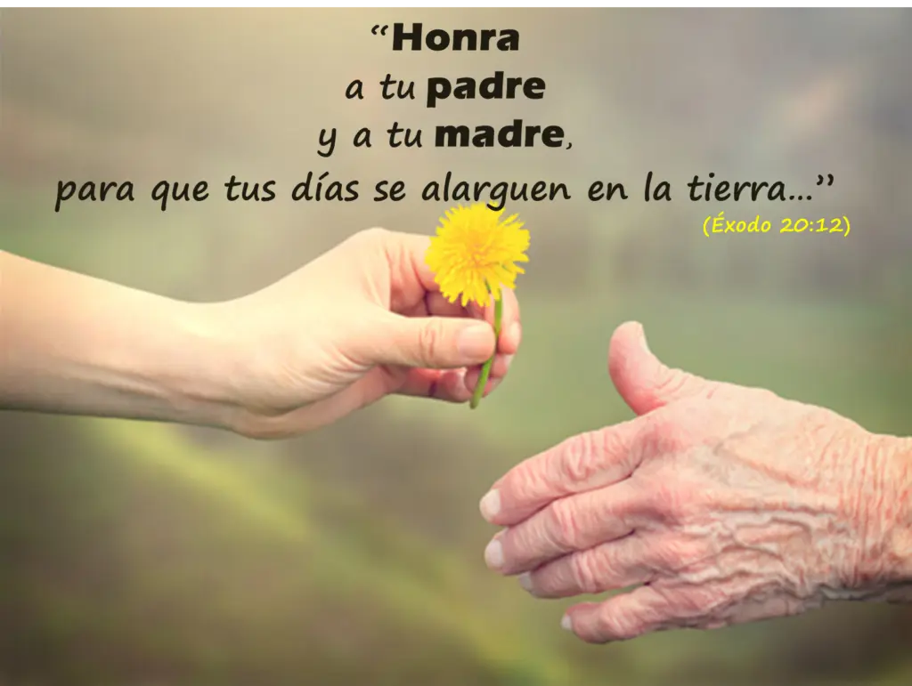 Honrar a la Madre Biblia: Un Llamado a la Reverencia y la Obediencia - Qué es honrar a la madre honrar a la madre biblia - Qué es honrar a la madre