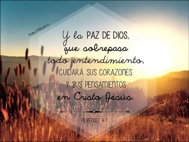 Benevolencia En La Biblia: Ejemplos Y Cómo Practicarla | Iglesia Del Pilar