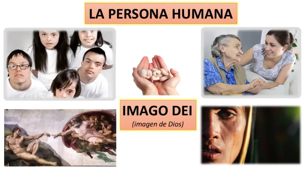La Dignidad de la Persona Humana: Un Pilar Fundamental de la Doctrina Social de la Iglesia - Qué es la dignidad de la persona humana dignidad de la persona humana doctrina social de la iglesia - Qué es la dignidad de la persona humana