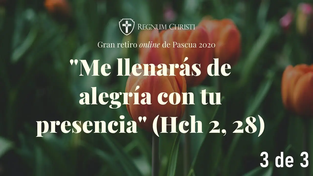¿Qué es la felicidad de acuerdo a la Biblia? - Qué es la felicidad de acuerdo a la Biblia que es ser feliz segun la biblia - Qué es la felicidad de acuerdo a la Biblia