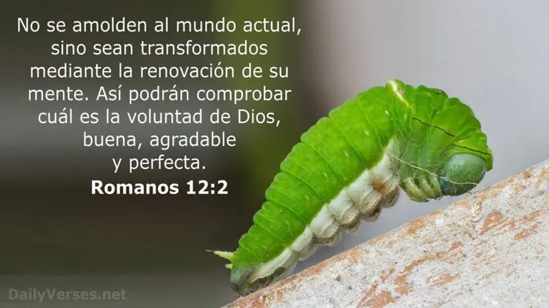 ¿Qué Dice la Biblia Sobre la Mente? Un Viaje a la Espiritualidad - Qué es la mente desde el punto de vista biblico que dice la biblia sobre la mente - Qué es la mente desde el punto de vista biblico