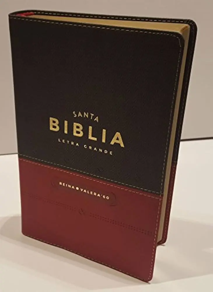 La Santa Biblia y las Sociedades Bíblicas Unidas: Un Legado de Traducción y Difusión - Qué es la Sociedad Biblica Internacional santa biblia sociedades biblicas unidas - Qué es la Sociedad Biblica Internacional