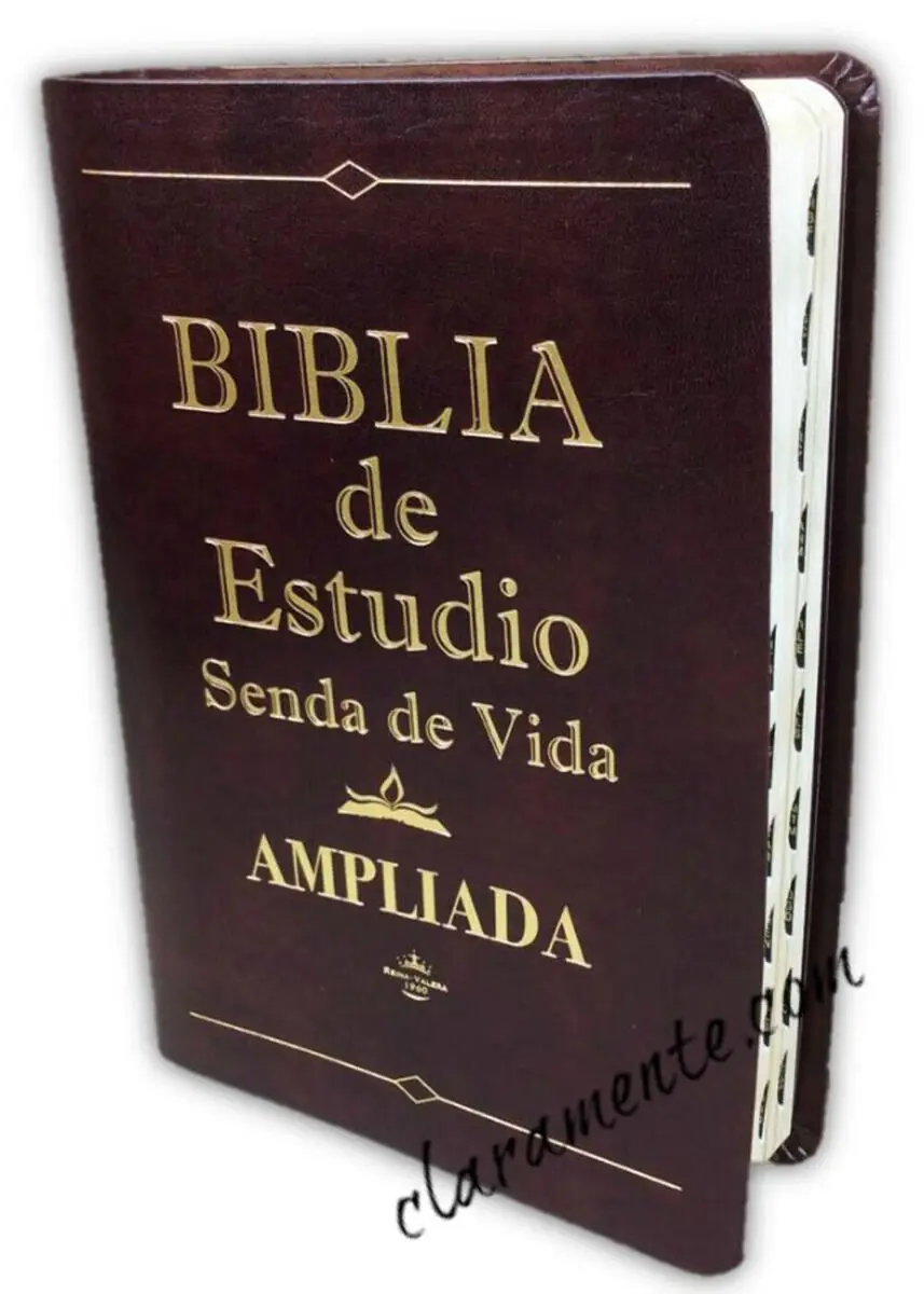 La Biblia Ampliada: Una Herramienta para la Profunda Comprensión de la Escritura - Qué es la versión ampliada de la Biblia biblia ampliada - Qué es la versión ampliada de la Biblia