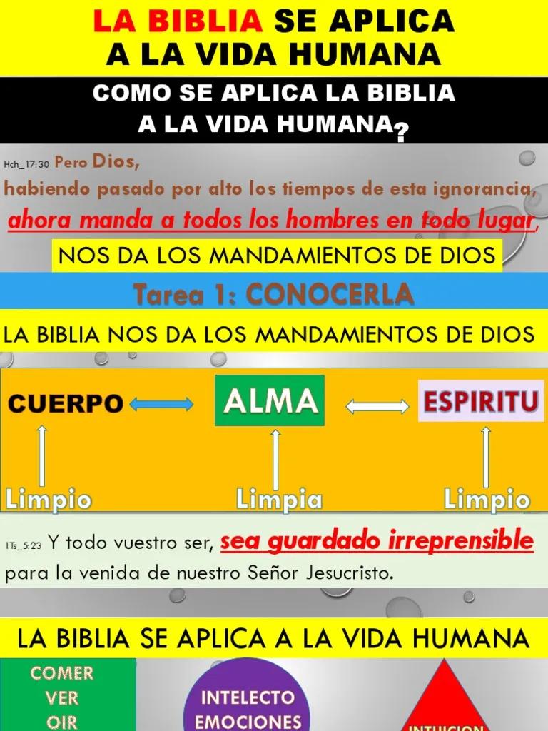 La Vida Humana Según la Biblia: Un Regalo Sagrado - Qué es la vida humana para Dios que es la vida humana según la biblia - Qué es la vida humana para Dios