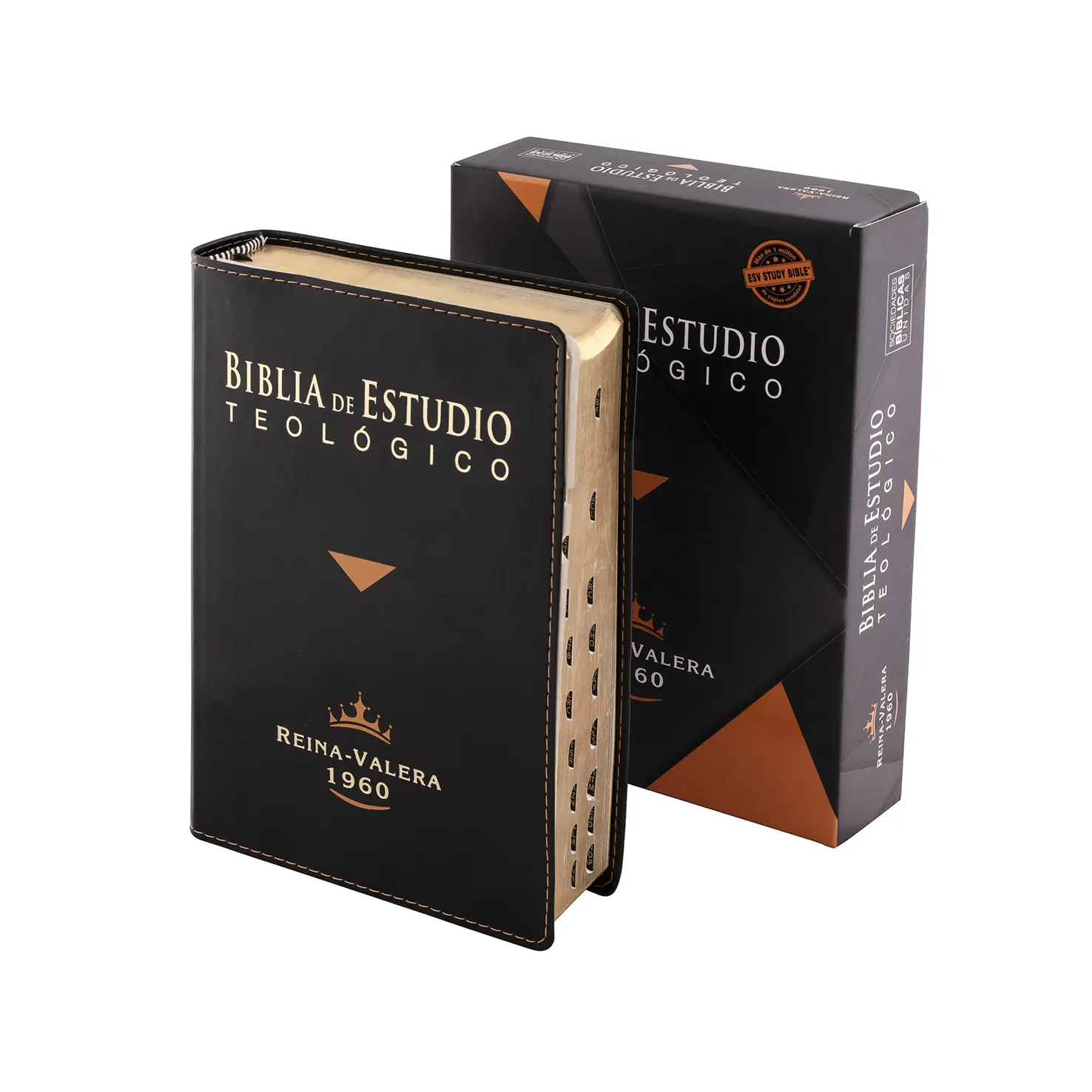 La Biblia de Estudio Teológico: Una Herramienta Esencial para la Profundización de la Fe - Qué es un estudio biblico teológico biblia de estudio teologico - Qué es un estudio biblico teológico