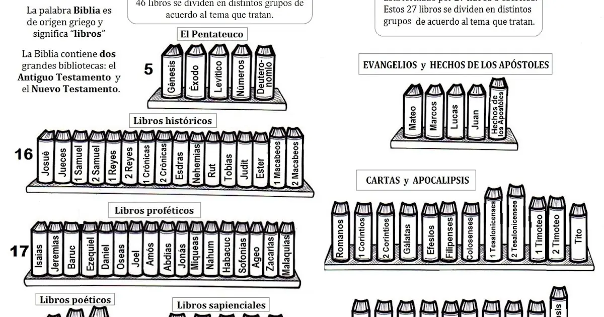 Libros Didácticos de la Biblia Católica: Una La Comprensión - Qué es un libro didáctico libros didacticos de la biblia catolica - Qué es un libro didáctico