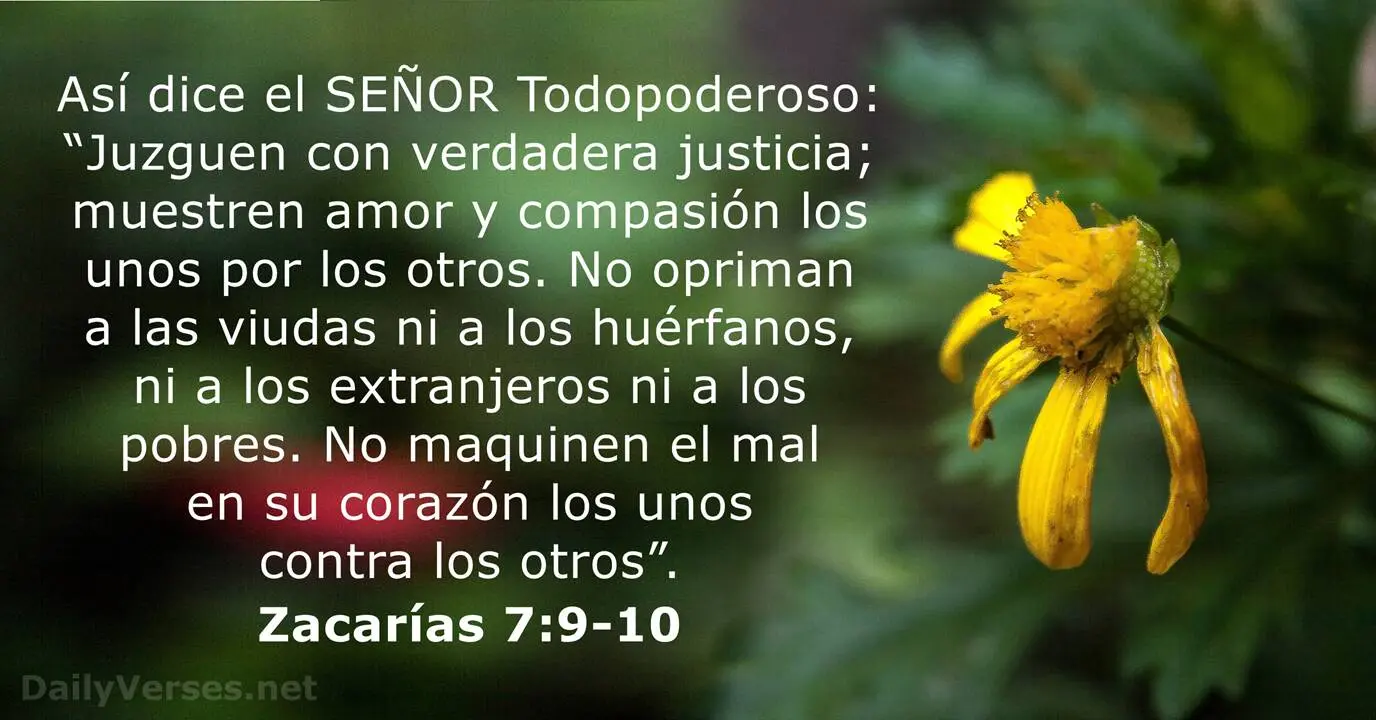 Qué Deben Hacer las Viudas Según la Biblia: El Apoyo y la Esperanza - Qué es una viuda para Dios que deben hacer las viudas según la biblia - Qué es una viuda para Dios