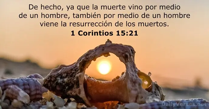 La Esperanza de la Resurrección en la Biblia - Qué esperanza nos da la resurrección de Cristo esperanza de resurrección biblia - Qué esperanza nos da la resurrección de Cristo