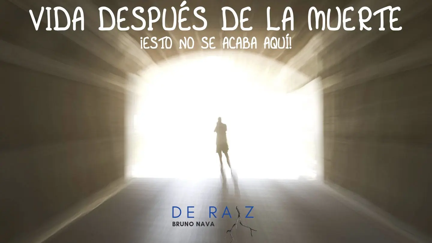 ¿Qué hay después de la vida según la Biblia? - Que hay después de la vida según el cristianismo que hay despues de la vida segun la biblia - Que hay después de la vida según el cristianismo