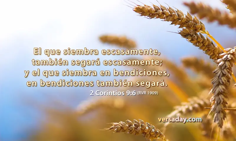 Hay de todo en la viña del Señor: Un análisis bíblico y cultural - Qué hay en la viña del Señor hay de todo en la viña del señor biblia - Qué hay en la viña del Señor