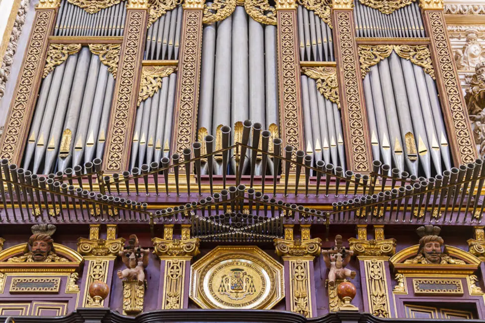 Instrumentos para Coro de Iglesia - Qué instrumentos se deben usar en la Misa instrumentos para coro de iglesia - Qué instrumentos se deben usar en la Misa