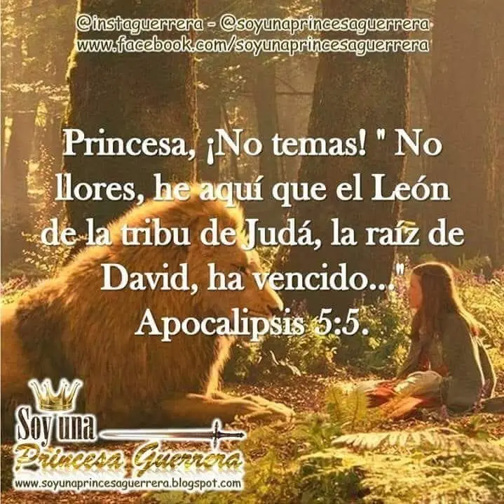 La Profunda Lección de 019872zjspixormujer, no llores019872zjspixor: Un Análisis Bíblico - Qué le dijo Jesús a las mujeres que lloran por él mujer no llores biblia - Qué le dijo Jesús a las mujeres que lloran por él