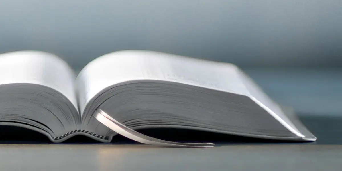 La Biblia Gris: Una Mirada al Texto Sagrado de los Testigos de Jehová - Qué libro usan los testigos de Jehová biblia gris de los testigos de jehova - Qué libro usan los testigos de Jehová