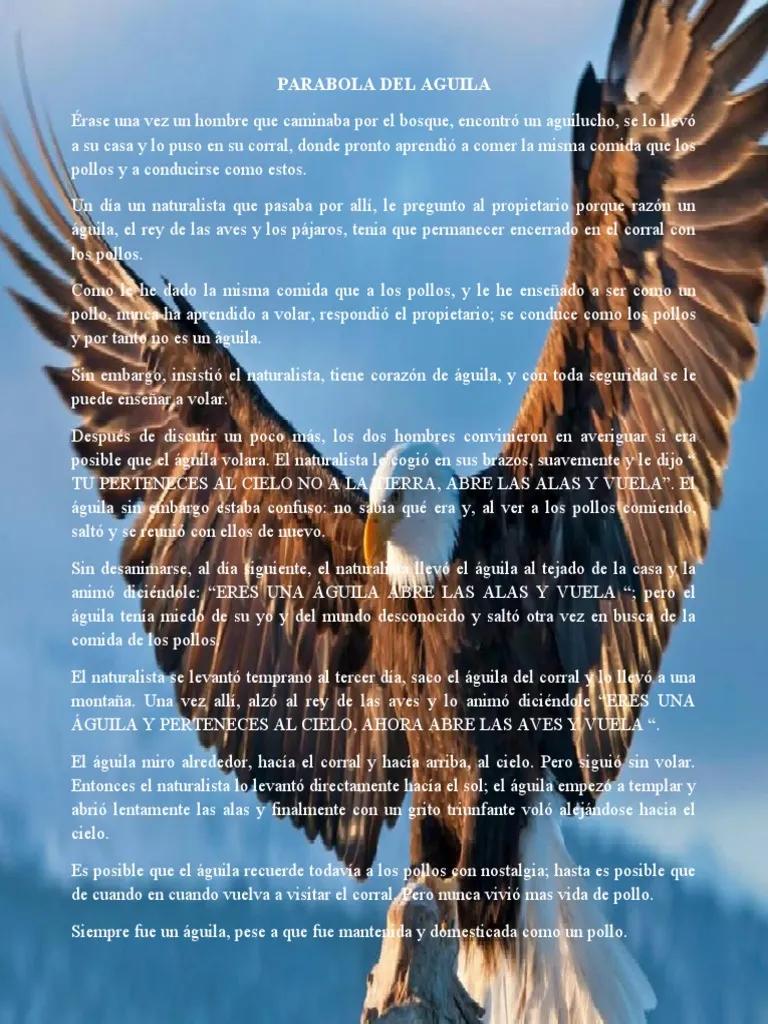 La Parábola del Águila en la Biblia: Un Mensaje de Esperanza y Renovación - Qué mensaje nos deja la parábola del águila parabola del aguila en la biblia - Qué mensaje nos deja la parábola del águila