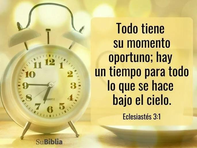 Todo a su debido tiempo: El mensaje de Eclesiastés 3 - Qué nos dice Eclesiastés 3 3 todo a su debido tiempo biblia - Qué nos dice Eclesiastés 3 3