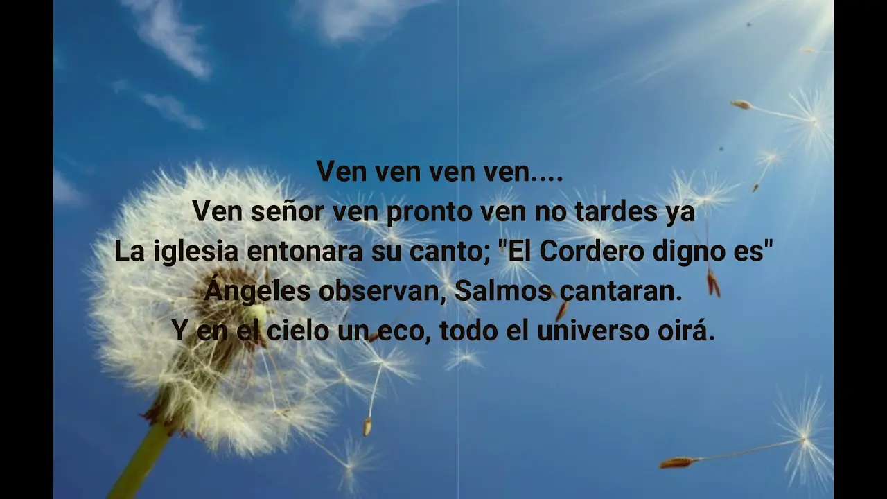 La Vida Se Va Como el Viento: Una Reflexión Bíblica sobre la Brevedad de la Existencia - Qué nos dice la Biblia sobre el viento la vida se va como el viento biblia - Qué nos dice la Biblia sobre el viento