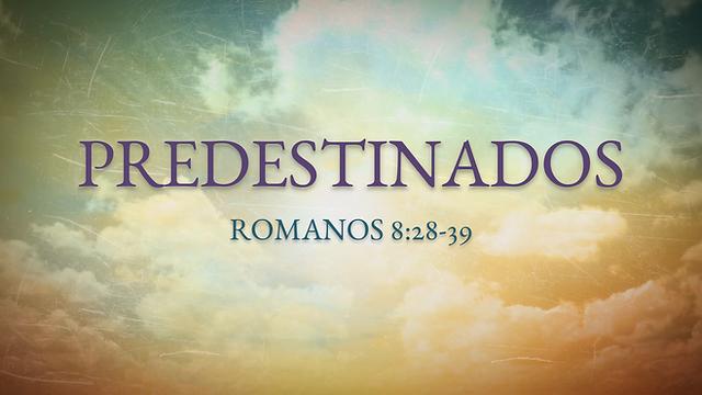 ¿Fuimos Predestinados? Analizando la Doctrina Bíblica de la Predestinación - Qué nos dice la Biblia sobre la predestinación fuimos predestinados biblia - Qué nos dice la Biblia sobre la predestinación