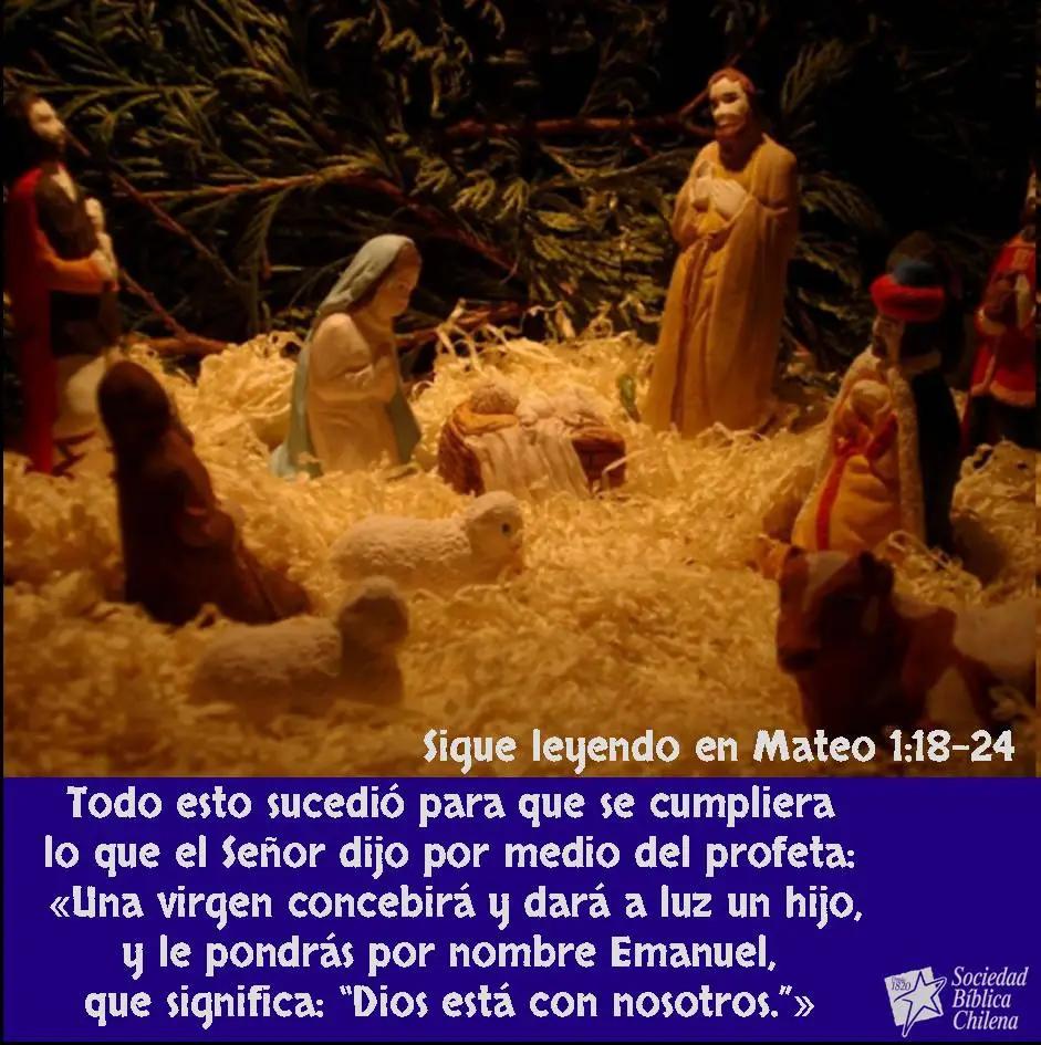 frases del nacimiento de jesus en la biblia - Qué nos dice Lucas 2 14