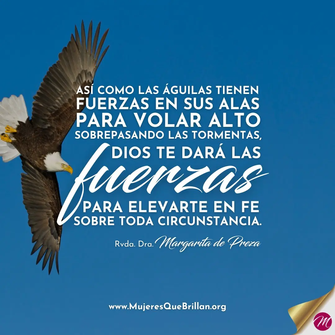 Sobre Alas de Águila: Un Viaje a Través de la Biblia - Que nos enseña Deuteronomio 32 11 sobre alas de aguila biblia - Que nos enseña Deuteronomio 32 11