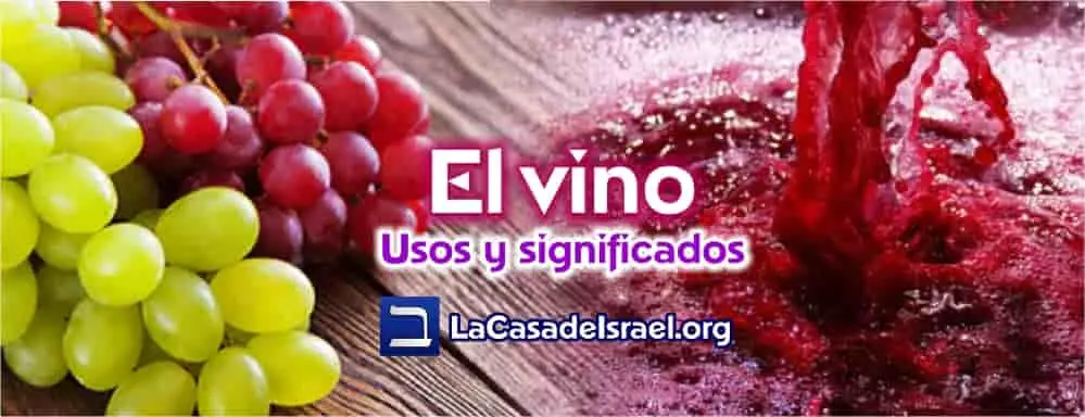 El Vino en la Biblia: Un Viaje a Través de la Historia y la Fe - Que nos representa el vino que representa el vino en la biblia - Que nos representa el vino