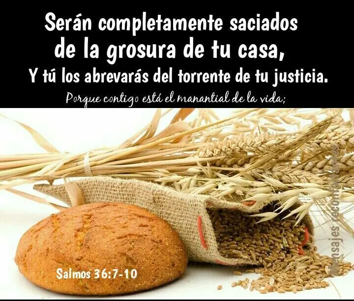La Grosura en la Biblia: Un Análisis Profundo - Qué ofrenda se hacía en Acción de Gracias grosura en la biblia - Qué ofrenda se hacía en Acción de Gracias