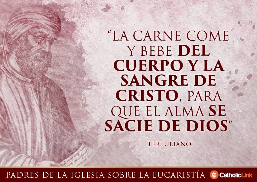 Las Frases Clave de la Misa Católica: Un Viaje a Través de las Palabras Sagradas - Qué palabras dice el Padre en la Misa frases de la misa catolica - Qué palabras dice el Padre en la Misa