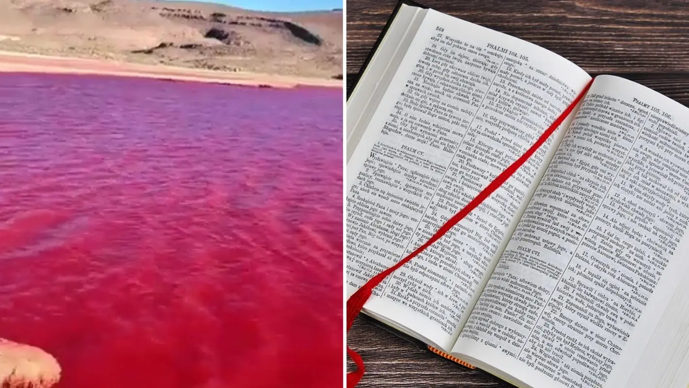 Los Ríos en la Biblia: Un Símbolo de Vida, Juicio y Esperanza - Qué parte de la Biblia habla del río rio en la biblia - Qué parte de la Biblia habla del río