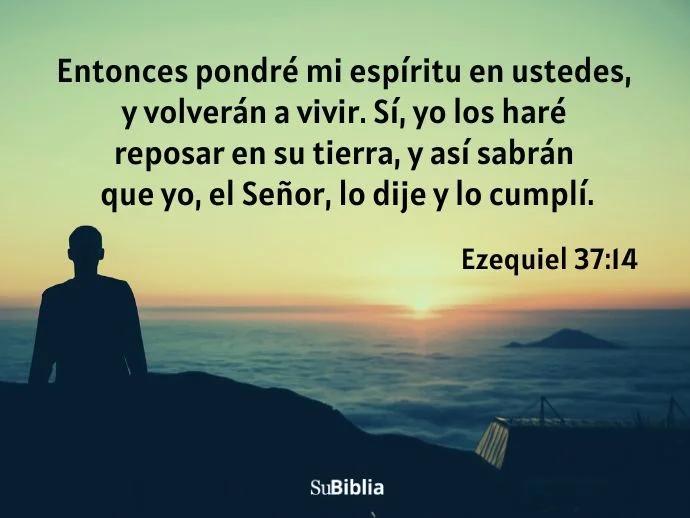 hombres de la biblia que perdieron la esperanza - Qué personaje de la Biblia se desánimo