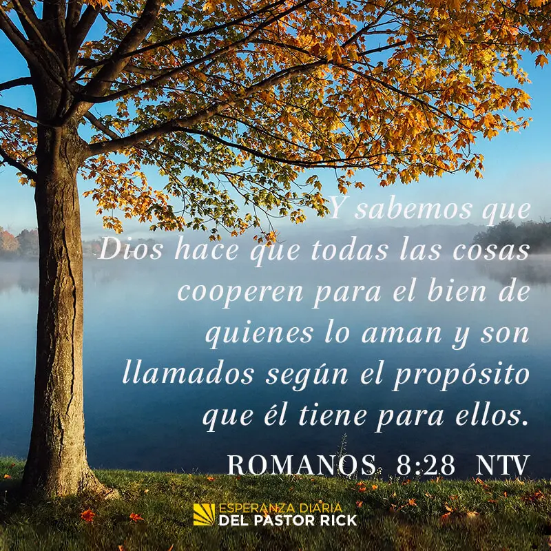 Ejemplos de Esperanza en la Biblia: El Caso de Ezequías - Qué personaje de la Biblia tuvo esperanza ejemplos de esperanza en la biblia - Qué personaje de la Biblia tuvo esperanza