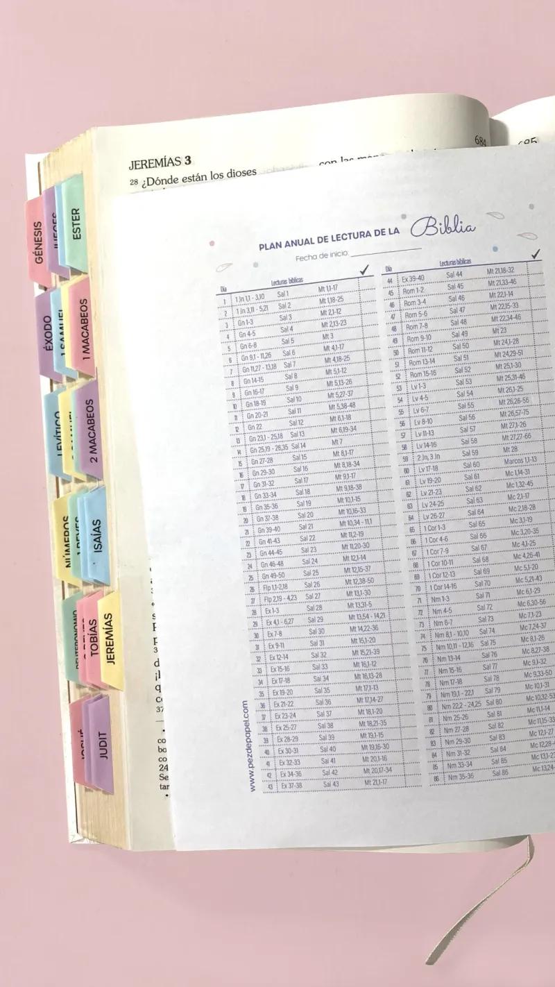 plan de lectura biblia catolica - Qué plan es mejor para leer la Biblia