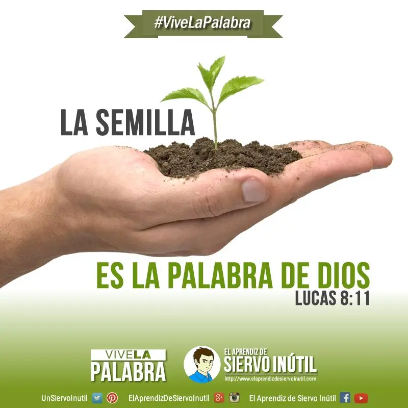 El Poder de la Semilla Según la Biblia: Un Estudio de Crecimiento y Transformación - Qué poder tiene la semilla el poder de la semilla segun la biblia - Qué poder tiene la semilla