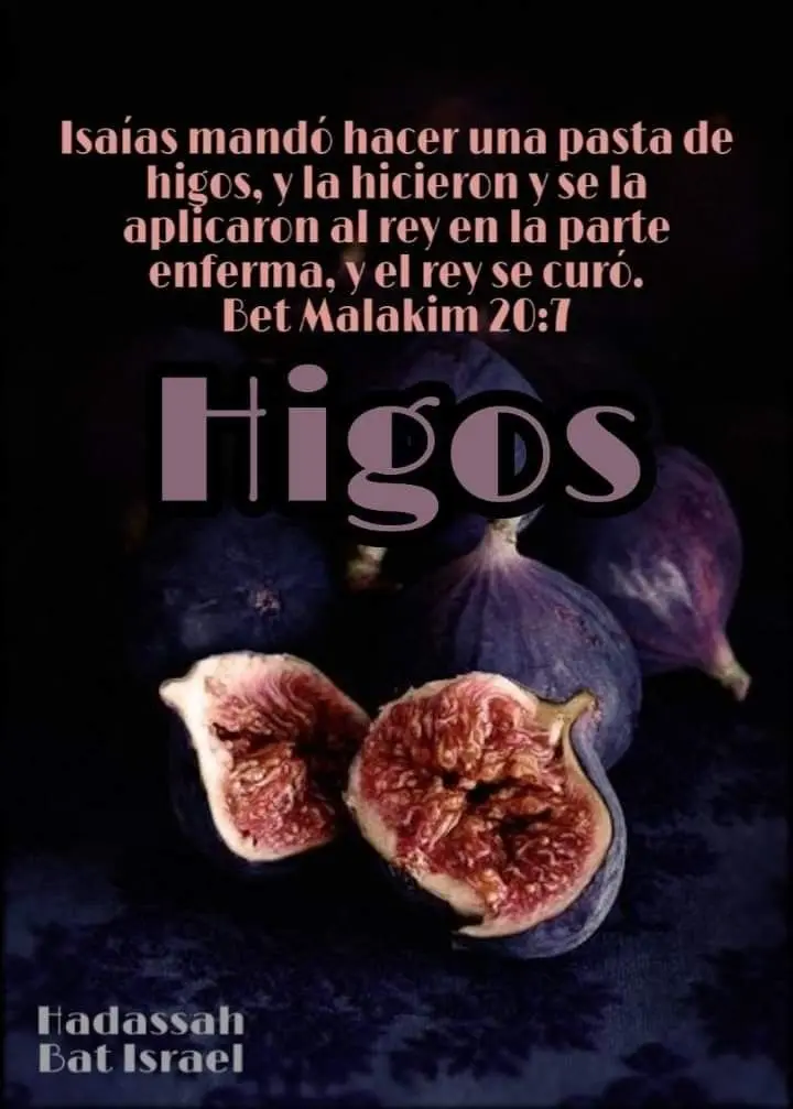 La Masa de Higos en la Biblia: Un Símbolo de Esperanza y Juicio - Qué profeta recetó una masa de higos para una enfermedad masa de higos en la biblia - Qué profeta recetó una masa de higos para una enfermedad