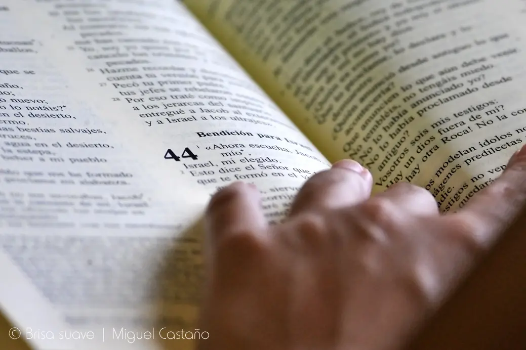 La Biblia: ¿Es o Contiene la Palabra de Dios? - Qué pruebas hay de que la Biblia es la Palabra de Dios la biblia es o contiene la palabra de dios - Qué pruebas hay de que la Biblia es la Palabra de Dios