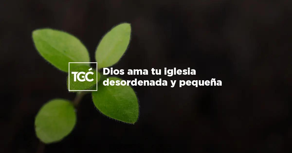 La Iglesia Desordenada: Analizando el Significado de 1 Corintios 14:33 - Qué quiere decir 1 de Corintios 14 33 iglesia desordenada - Qué quiere decir 1 de Corintios 14 33