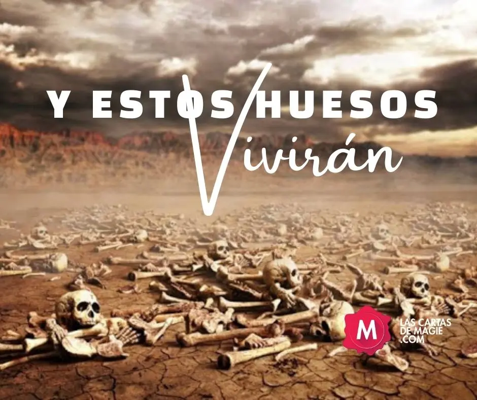 Huesos Secos en la Biblia Católica: Un Símbolo de Esperanza y Resurrección - Qué quiere decir Ezequiel 37 huesos secos biblia catolica - Qué quiere decir Ezequiel 37