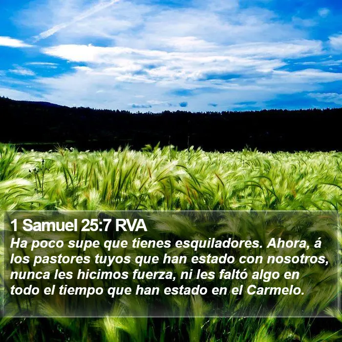 El Arte del Esquilado en la Biblia: Un Viaje a Través de la Historia y la Fe - Qué quiere decir la palabra esquiladores esquiladores en la biblia - Qué quiere decir la palabra esquiladores