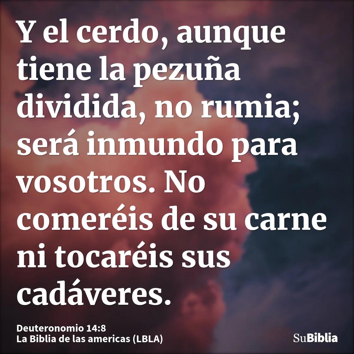 La Inmundicia en la Biblia: Una Exploración del Concepto - Qué quiere decir la palabra inmundo inmundo biblia - Qué quiere decir la palabra inmundo