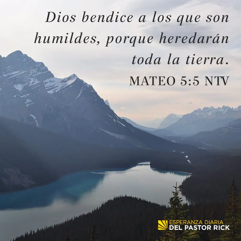 Los Mansos Herederán la Tierra: Una Profunda Lectura Bíblica - Qué quiere decir los mansos heredaran la tierra los mansos heredaran la tierra biblia - Qué quiere decir los mansos heredaran la tierra