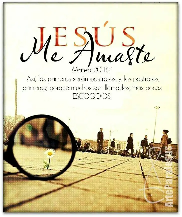 Los primeros serán postreros: Descifrando la parábola de la viña - Qué quiere decir Mateo 20 16 los primeros serán postreros en la biblia - Qué quiere decir Mateo 20 16