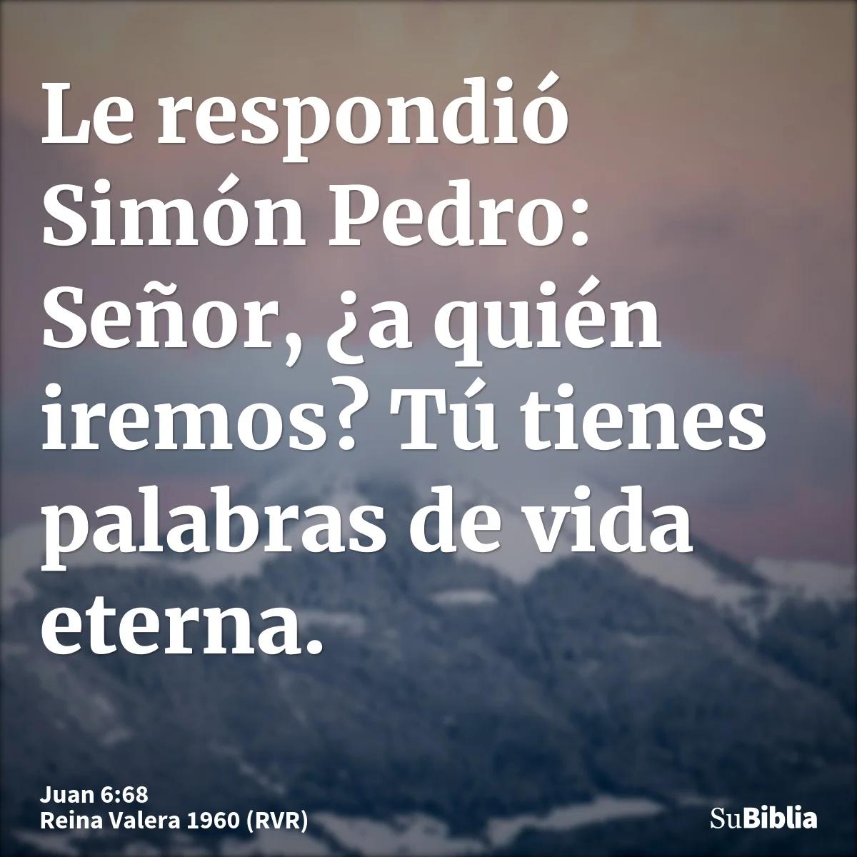Señor, ¿a quién iremos? Un análisis del pasaje bíblico y su relevancia actual - Qué quiere decir Señor a quien iremos señor a quien iremos biblia - Qué quiere decir Señor a quien iremos