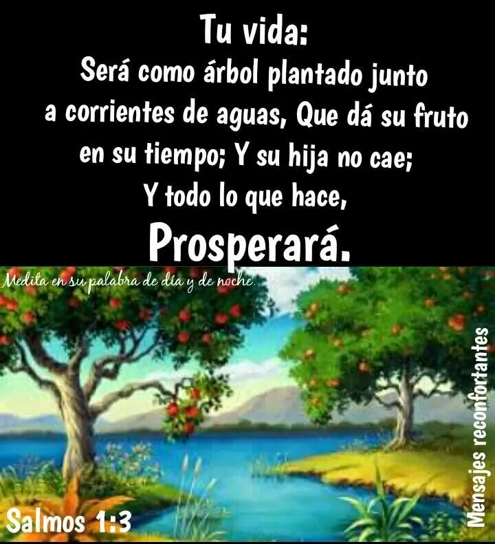 Serás como árbol plantado: Un análisis bíblico de la promesa - Qué quiere decir Será como árbol plantado seras como arbol plantado biblia - Qué quiere decir Será como árbol plantado