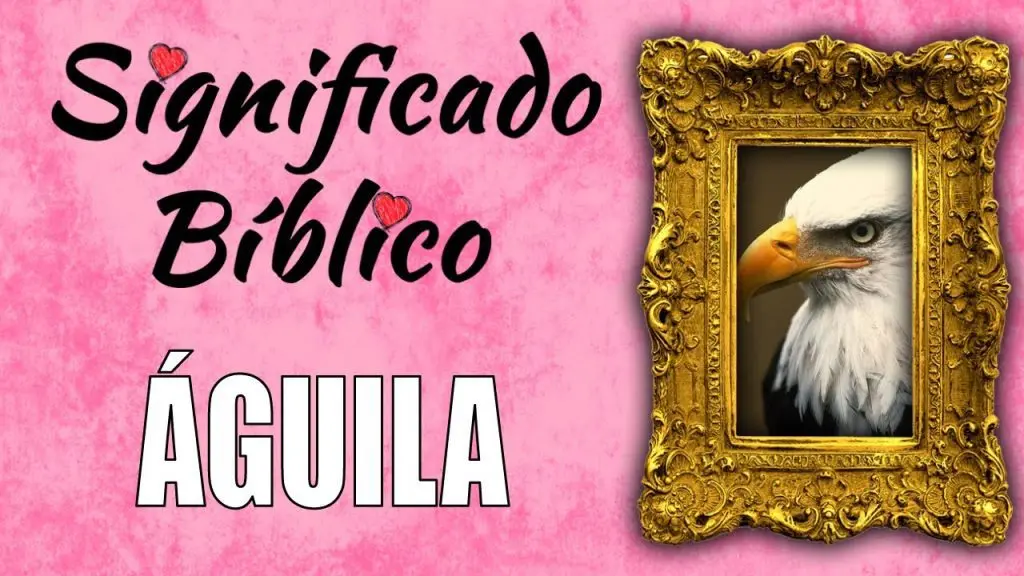 El Águila en la Biblia: Simbolismo y Significado - Qué representa el águila en lo espiritual caracteristicas del aguila en la biblia - Qué representa el águila en lo espiritual